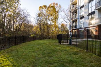 Private fenced yard with grass and mature trees